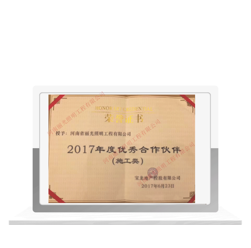 年度优秀合作伙伴 荣誉